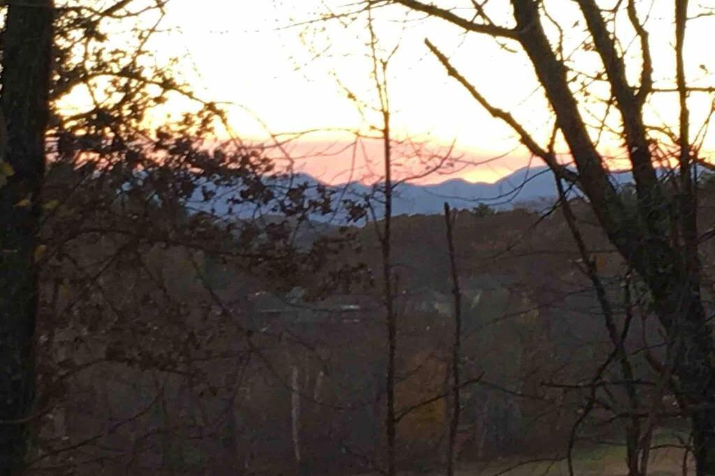Serenity Views Comfort - Close To City & Parkway! Weaverville Zewnętrze zdjęcie