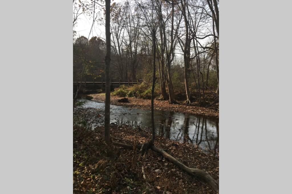 Serenity Views Comfort - Close To City & Parkway! Weaverville Zewnętrze zdjęcie