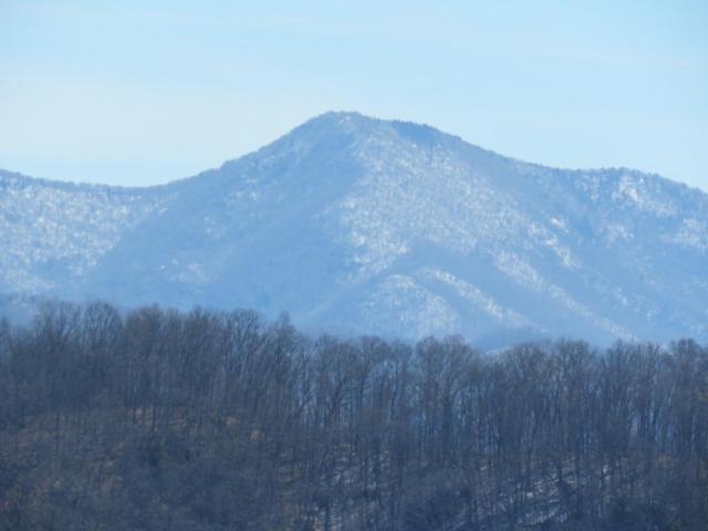 Serenity Views Comfort - Close To City & Parkway! Weaverville Zewnętrze zdjęcie