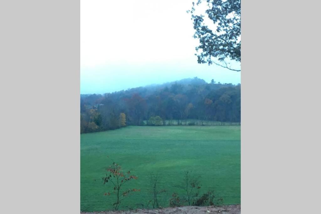 Serenity Views Comfort - Close To City & Parkway! Weaverville Zewnętrze zdjęcie