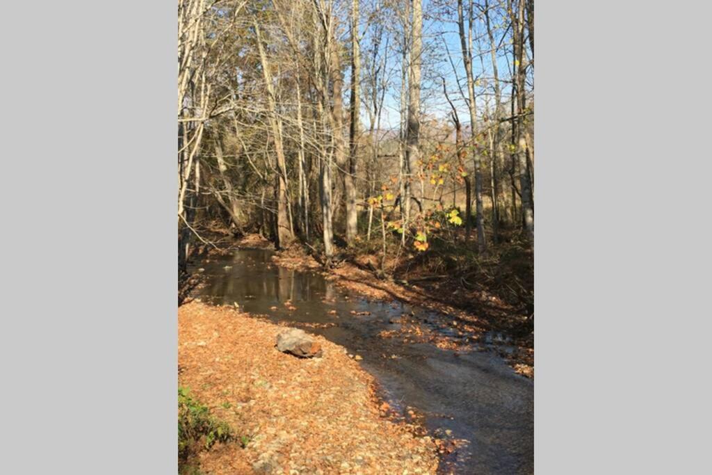 Serenity Views Comfort - Close To City & Parkway! Weaverville Zewnętrze zdjęcie